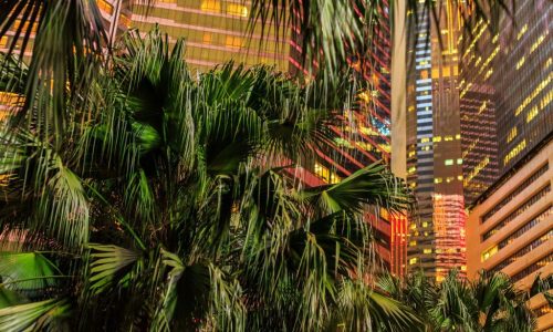 20171004_hongkong_186